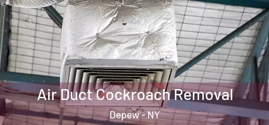  Air Duct Cockroach Removal Depew - NY