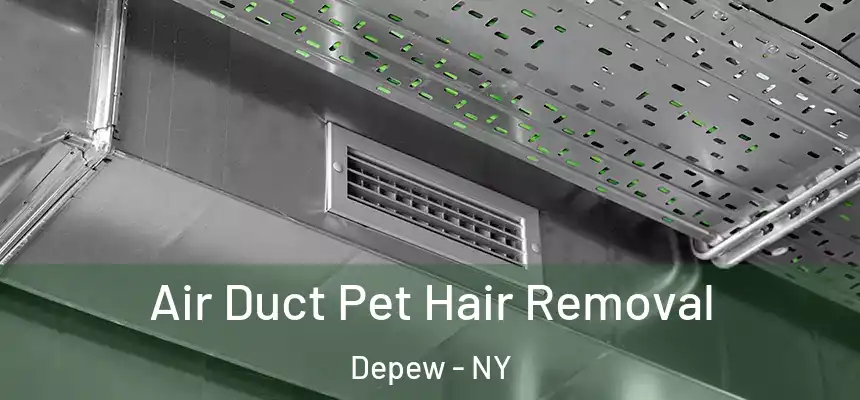  Air Duct Pet Hair Removal Depew - NY