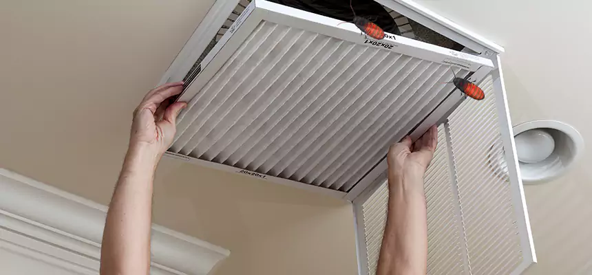Preventive Cockroach-Proofing for Ducts in Depew