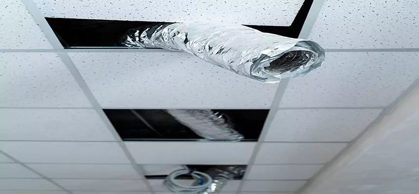 Our Air Duct Pet Hair Removal Services in Depew, NY