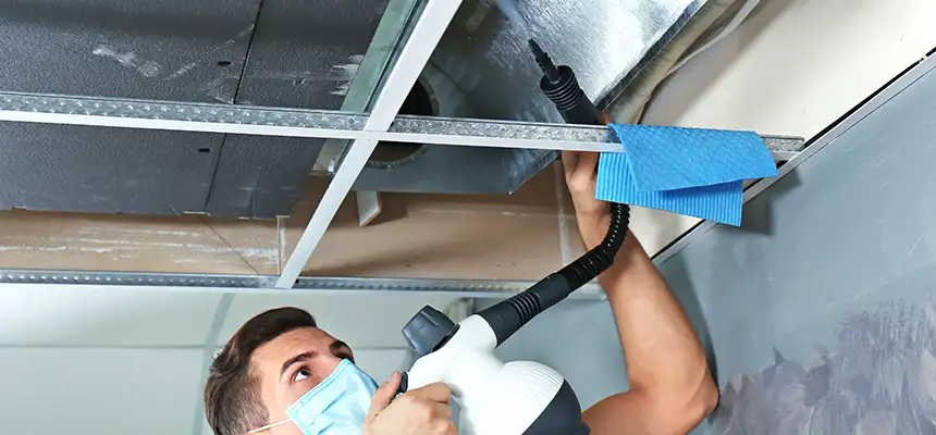 Our Air Duct Rodent Removal Services in Depew, NY