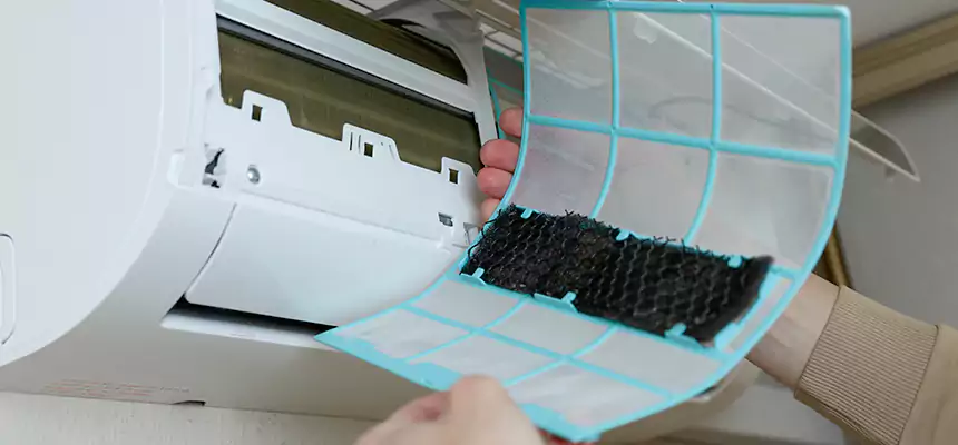 Gentle Ductwork Odor-Control Pet Dander Duct Cleaning in Depew, NY