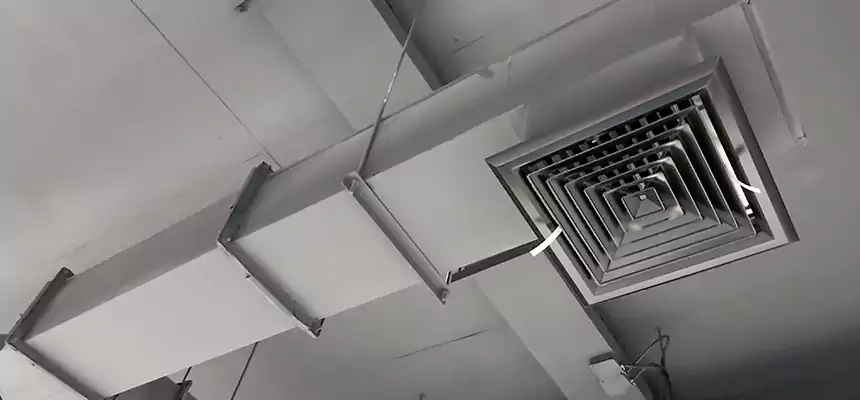 Our Rodent Droppings In Vents Services in Depew, NY