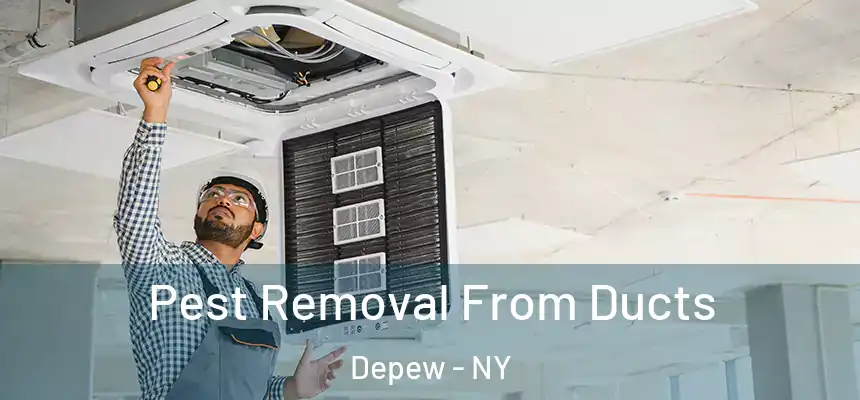  Pest Removal From Ducts Depew - NY