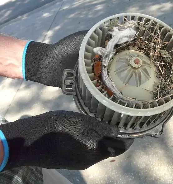 About Air Duct Mice Removal in Depew, NY