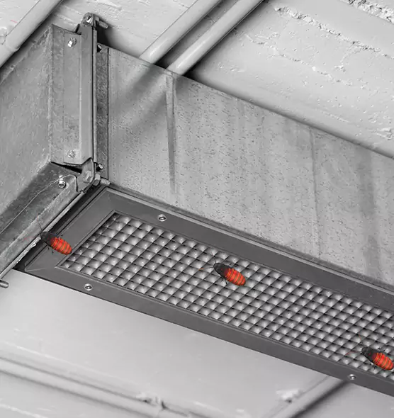 Affordable Insect Removal from Air Ducts in Depew, NY