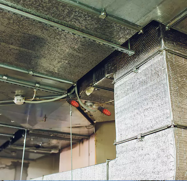 Why Homeowners & Businesses Trust Us in Depew, NY?